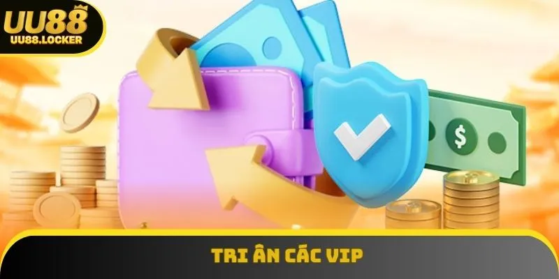 Chương trình dành riêng cho các thành viên lâu năm tuỳ vào từng cấp bậc Chương trình dành riêng cho các thành viên lâu năm tuỳ vào từng cấp bậc