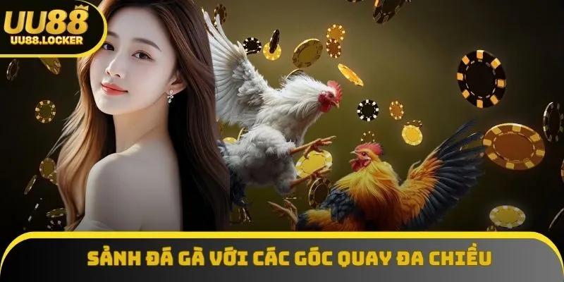 Sảnh đá gà phát sóng các trận thư hùng với các góc quay đa chiều
